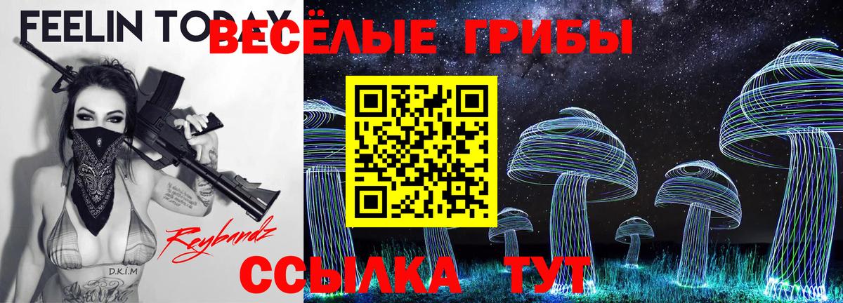 Галлюциногенные грибы Psilocybe Асино