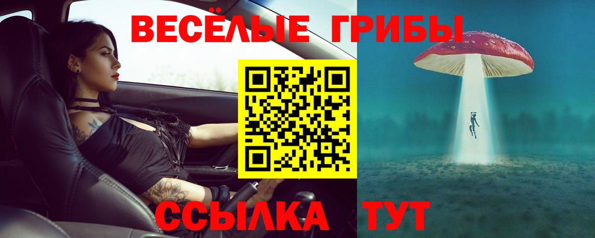 купить наркотик  Галлюциногенные грибы Psilocybine cubensis  Вход с VPN  Асино 